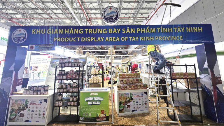 Giải pháp toàn diện